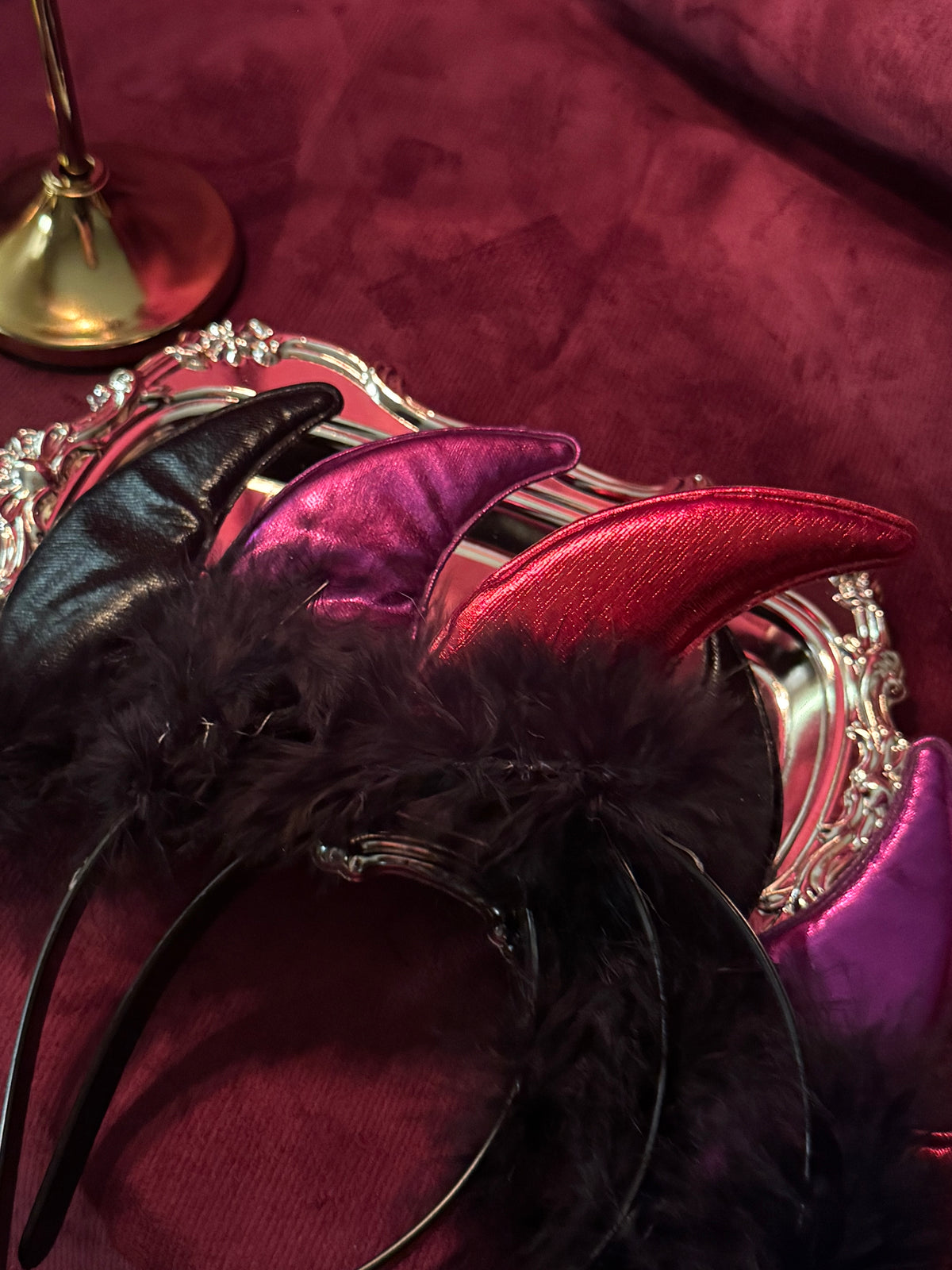 Diadema diablita