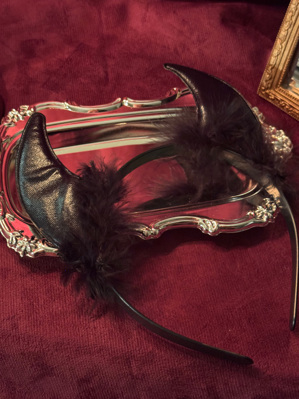 Diadema diablita